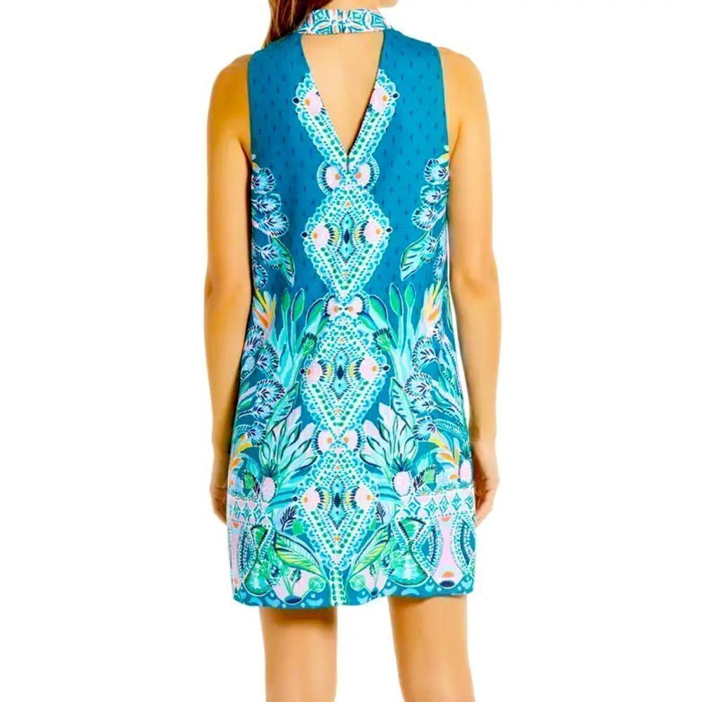 Lilly Pulitzer dress  - Picture 12 of 12